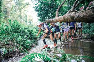 BIB: 
                            <button type="button" onclick="openModal(25457588)" class="btn btn-primary btn-sm float-right btn-popup" data-toggle="modal" data-target=".modal-high-quality">
                        <i class="fas fa-shopping-cart"></i> Add to Cart
                    </button>
                                            <button type="button" onclick="isThisMe(25457588, true)" class="btn btn-success btn-sm float-right btn-popup btn-isme hidden" data-toggle="tooltip" data-placement="bottom" title="นี่คือรูปของคุณใช่ไหม คลิกที่นี่เพื่อเอาเข้าอัลบั้ม">
                        <i class="fas fa-plus"></i> Add to album
                    </button>
                    <button type="button" onclick="isThisMe(25457588, false)" class="btn btn-warning btn-sm float-right btn-popup btn-isnotme hidden">
                        <i class="fas fa-ban"></i> Remove from album
                    </button>